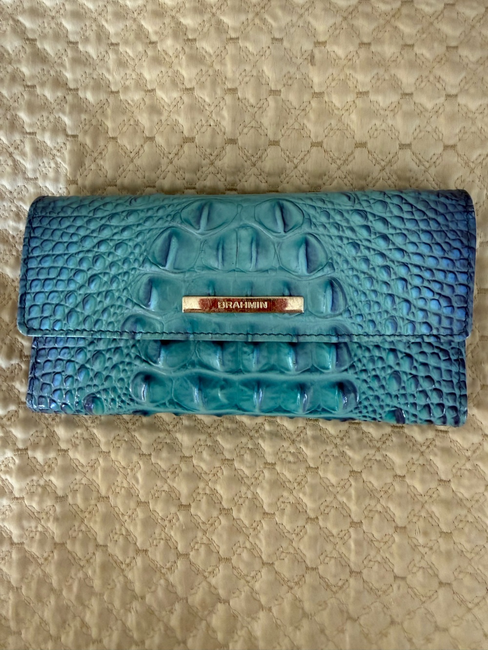 Like New Brahmin Affinity Ombré Ady Wallet